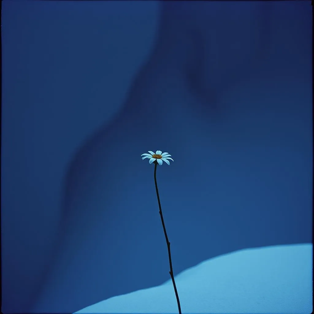 Long way down