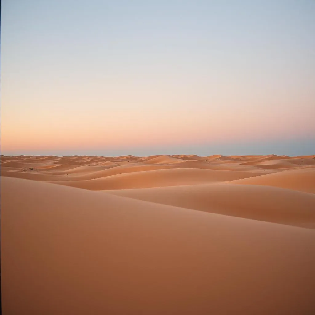 Desert Whispers