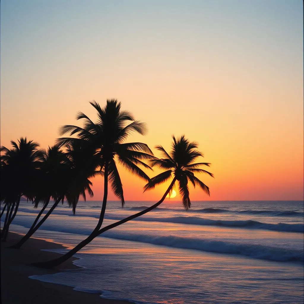 Endless Summer Vibes