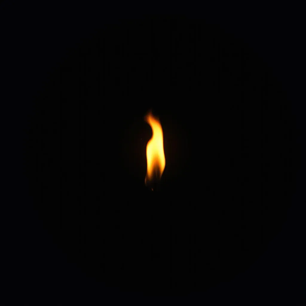 Shadows in the Flame