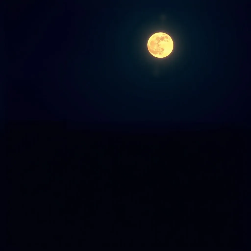 Echoes in the Night