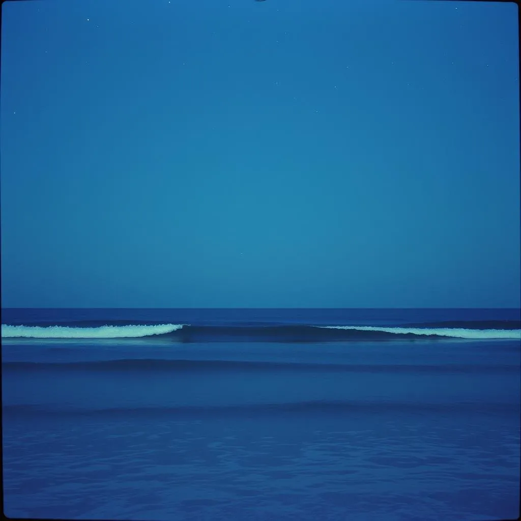 The Shores of Forever