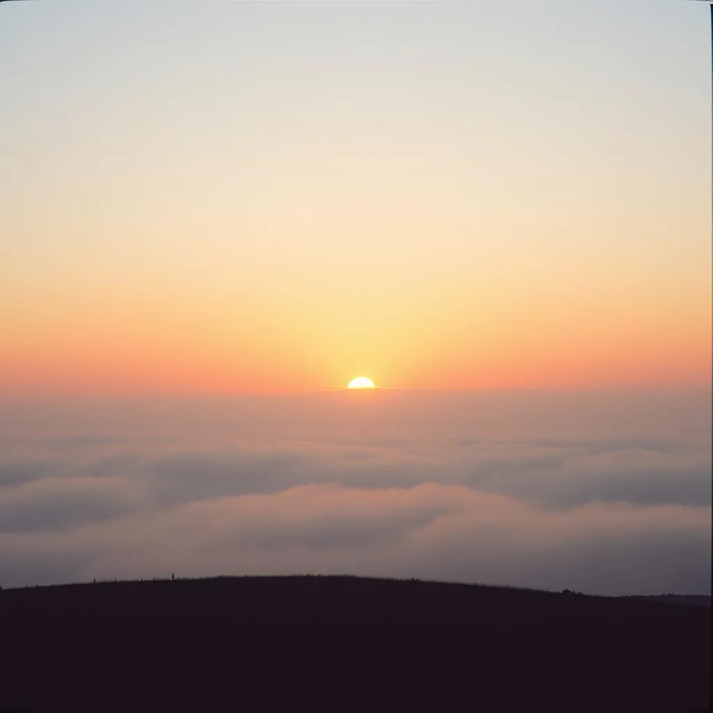 First Light, Again