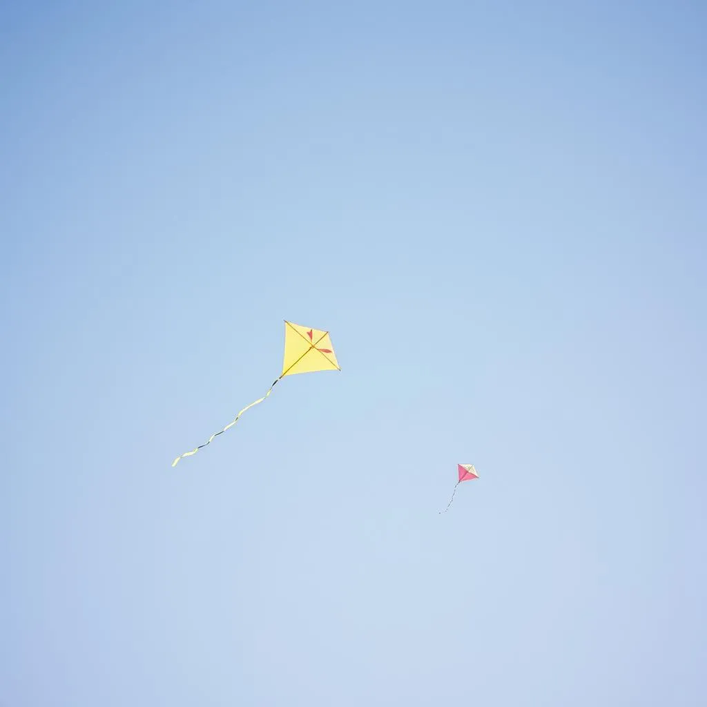 RASA