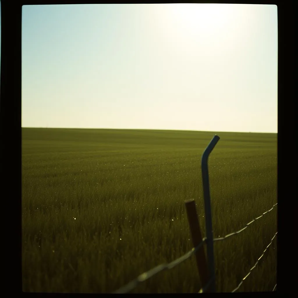 Water My Own Grass