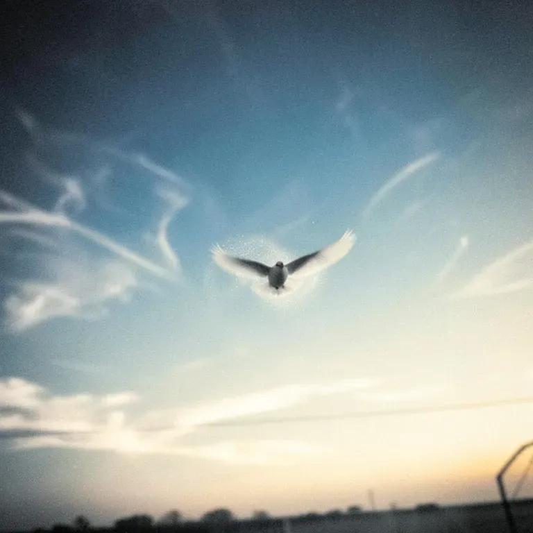 Forever Sky