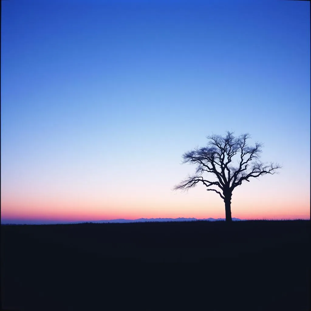 Fade into Nothing