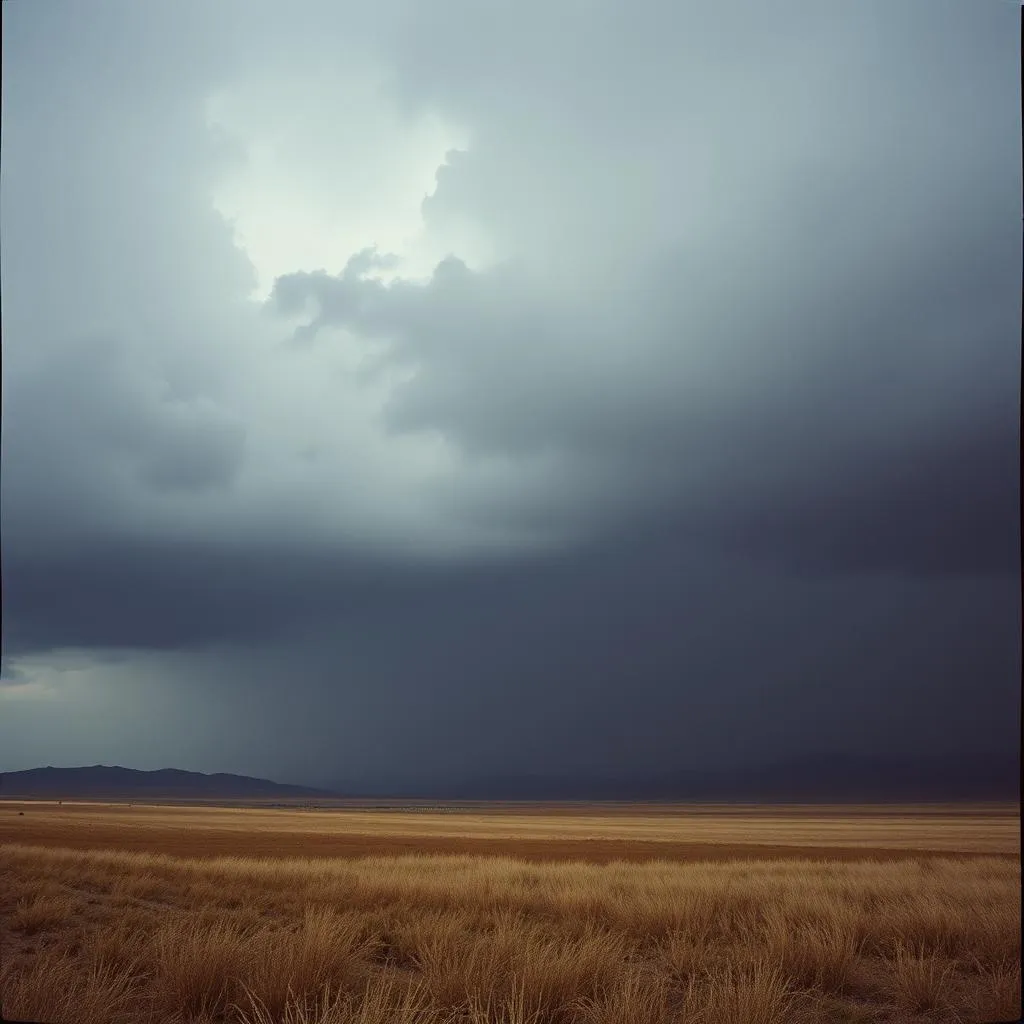 Rain