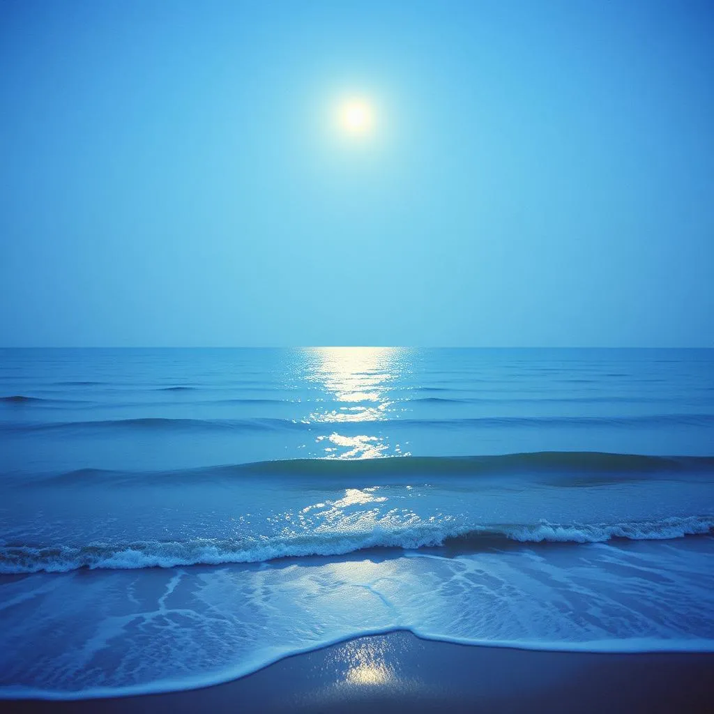 Ocean Serenade