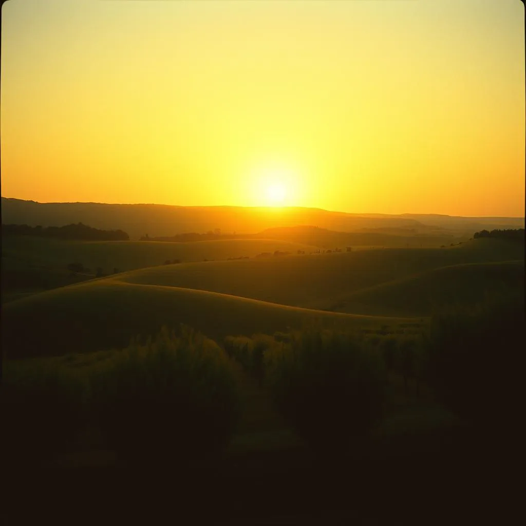 Sous le Soleil de Provence