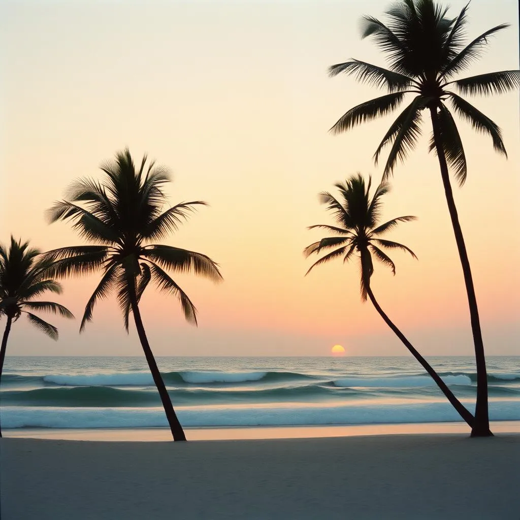 Sonne, Strand & Banger Vibes