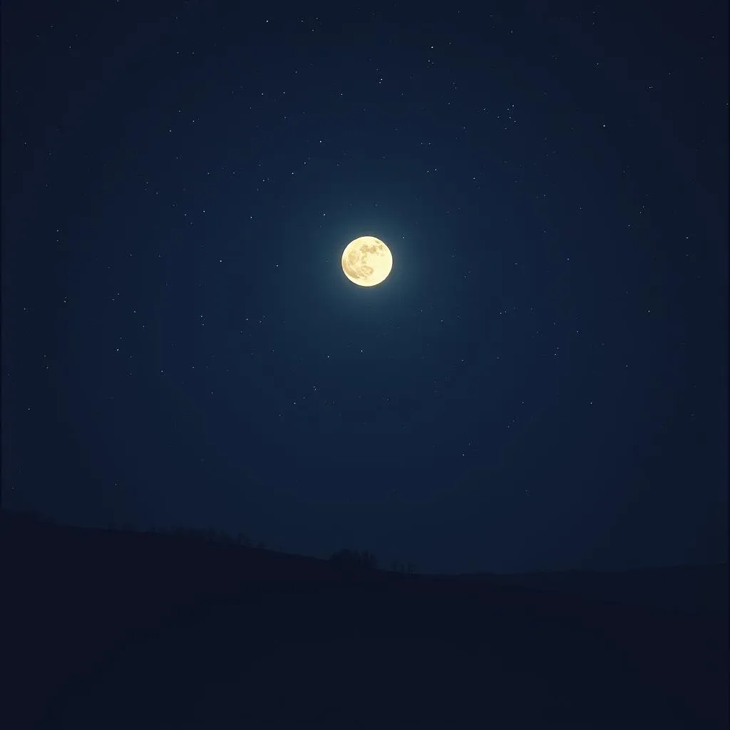 I Wish For You