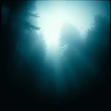 Lost in the haze