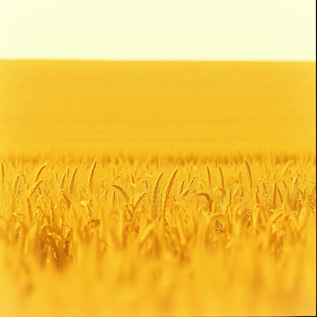 Fields of Warning