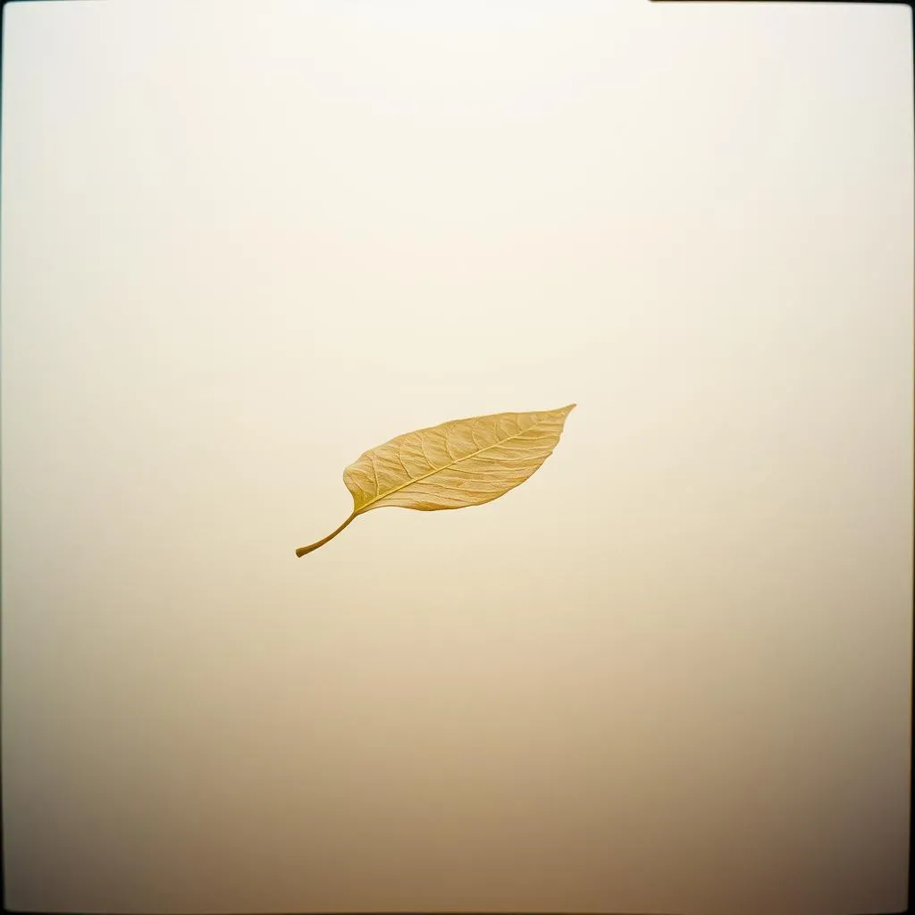 Entre o Céu e o Vazio