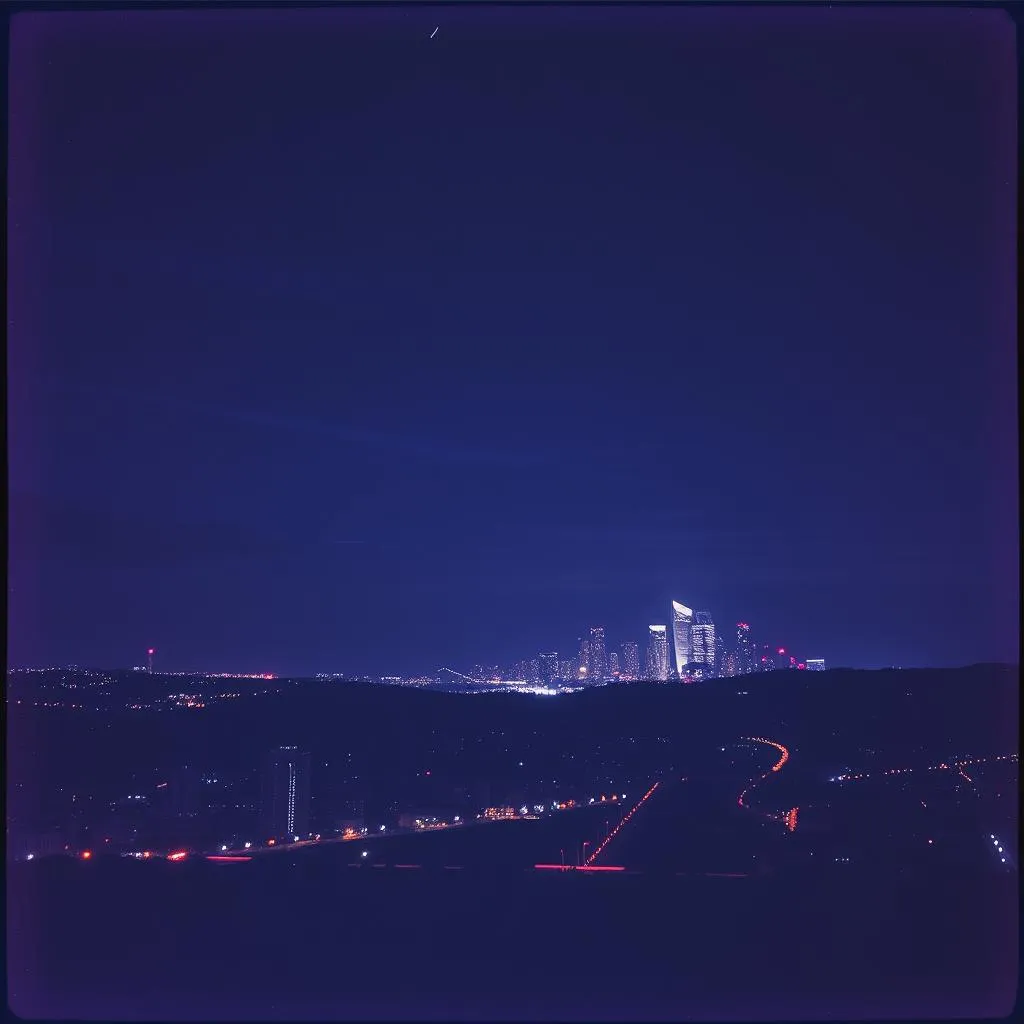 Bay Area Nights