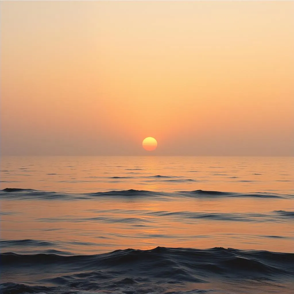 Grateful for the Morning