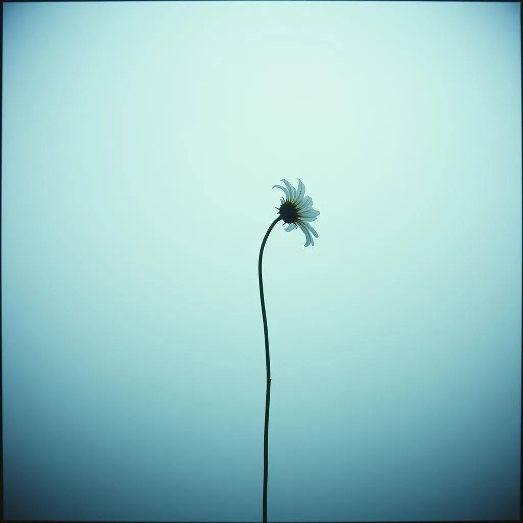 Entre nostalgia y soledad