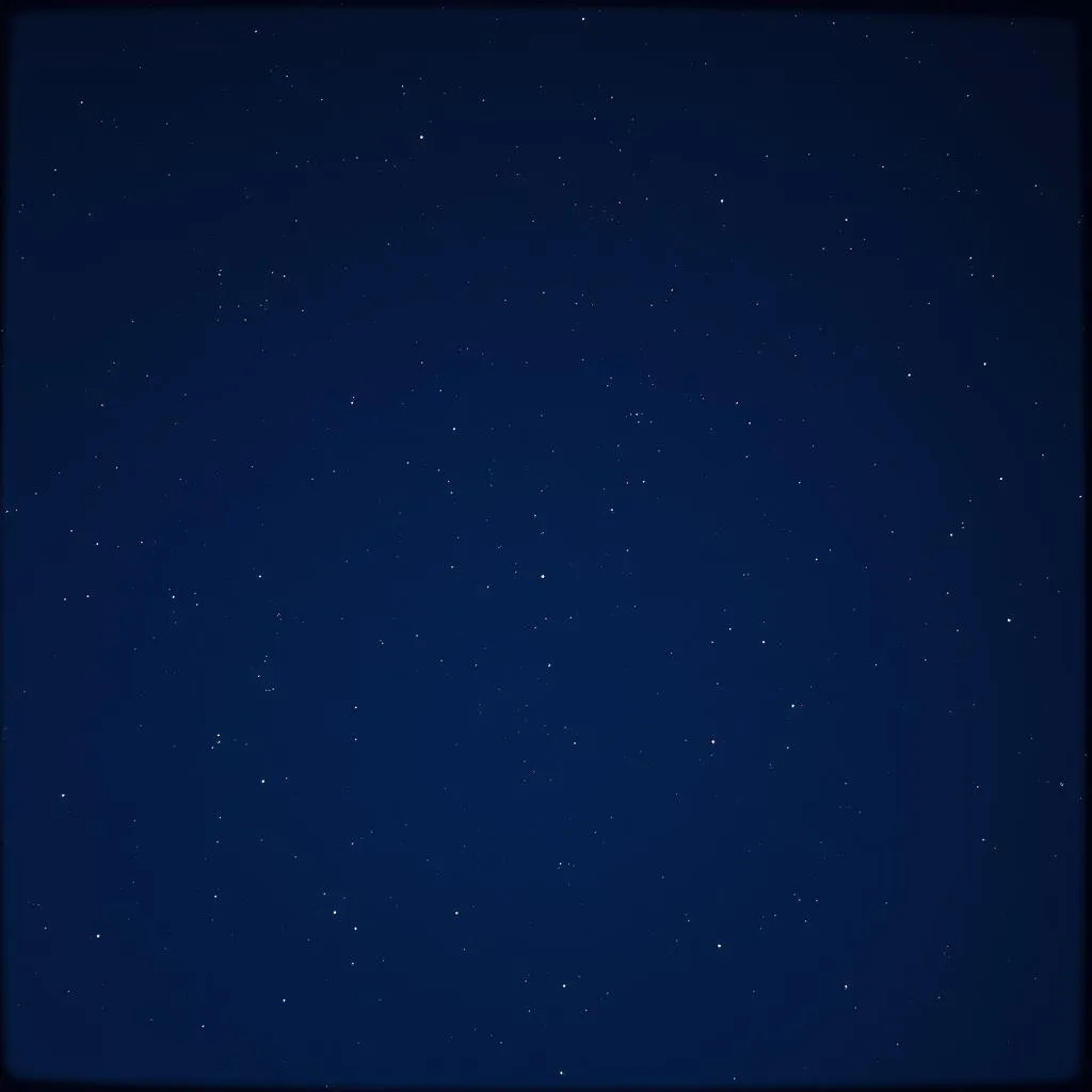 Under All the Stars