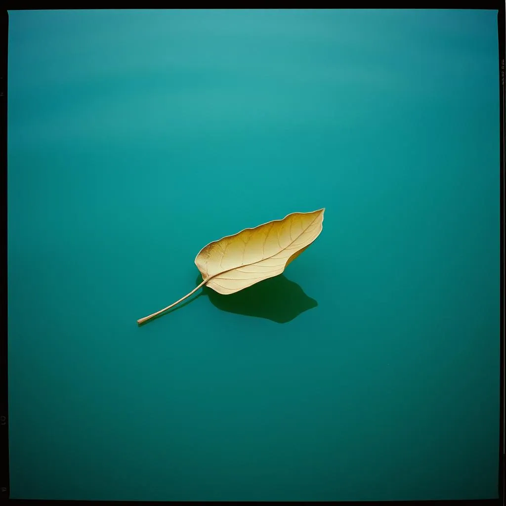 Dry Leaf