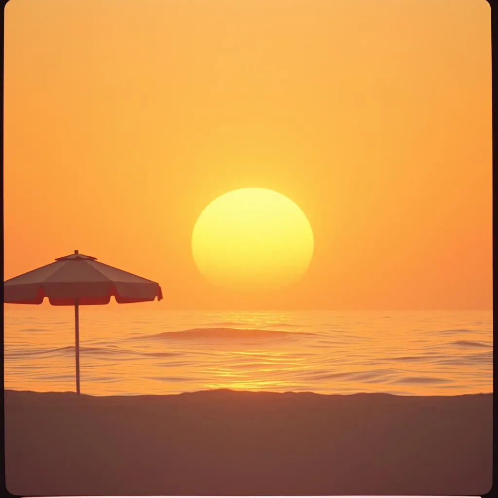 Sunset by the Sea