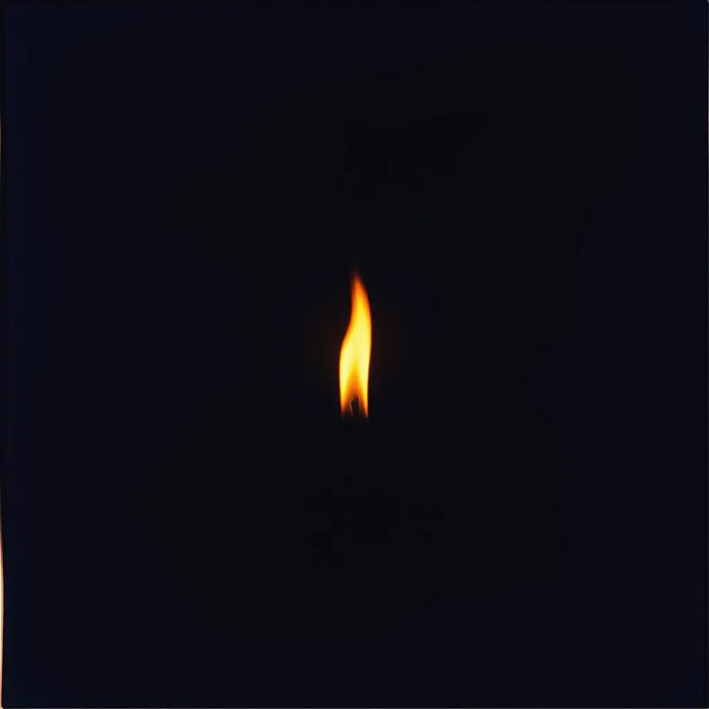 Shadows in the Flame