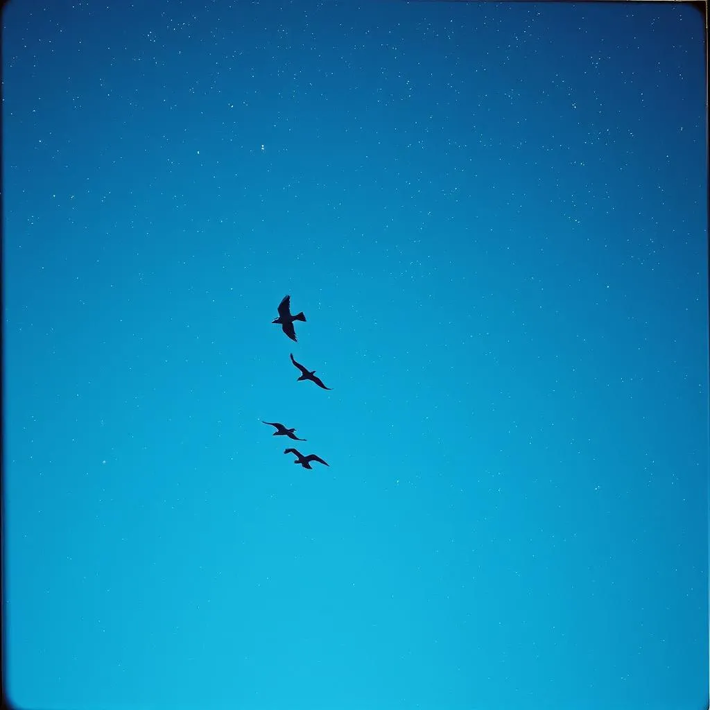 Clear Sky