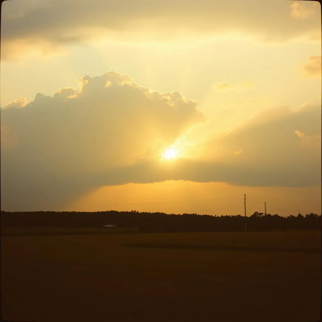 Out of the storm