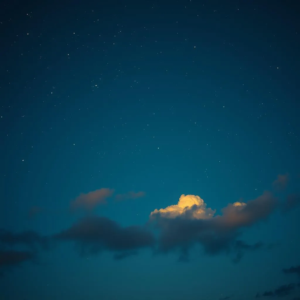 Guided by the Stars