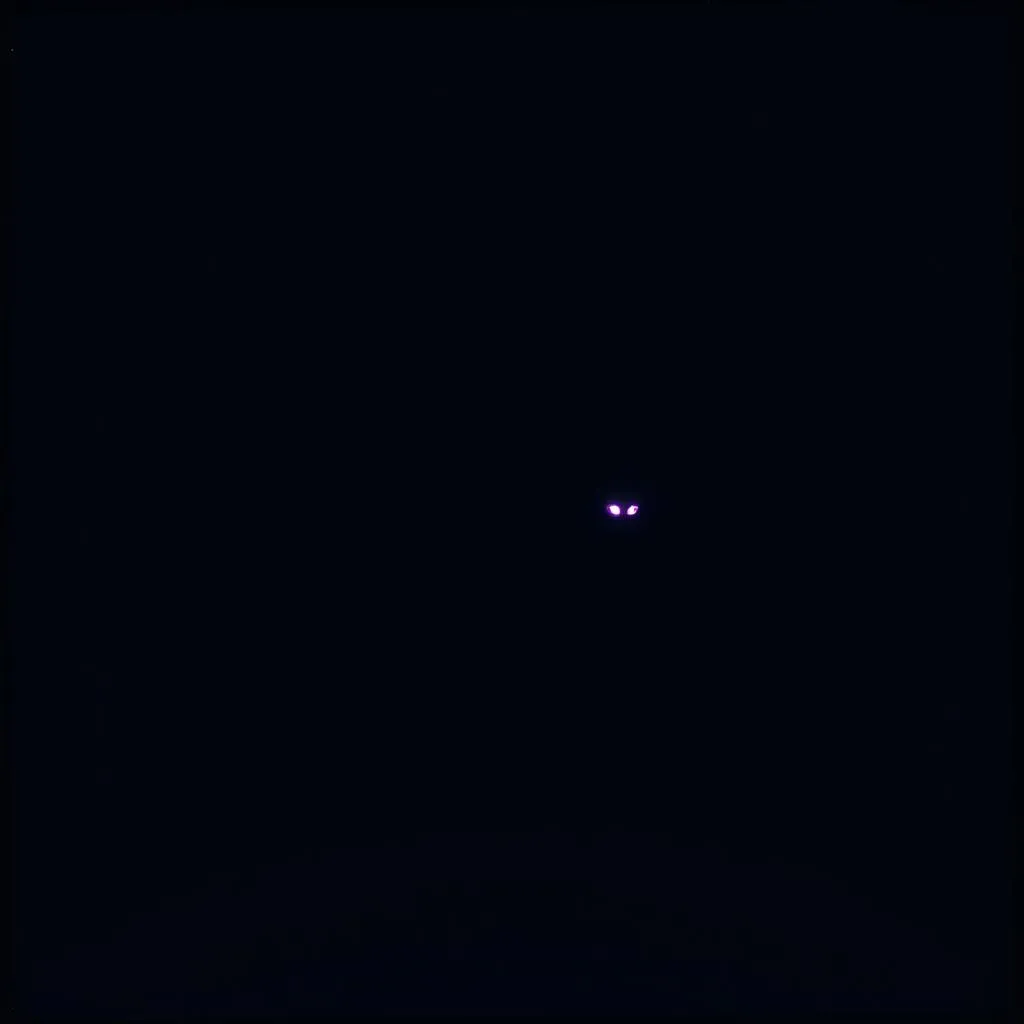 -We Are The Night-