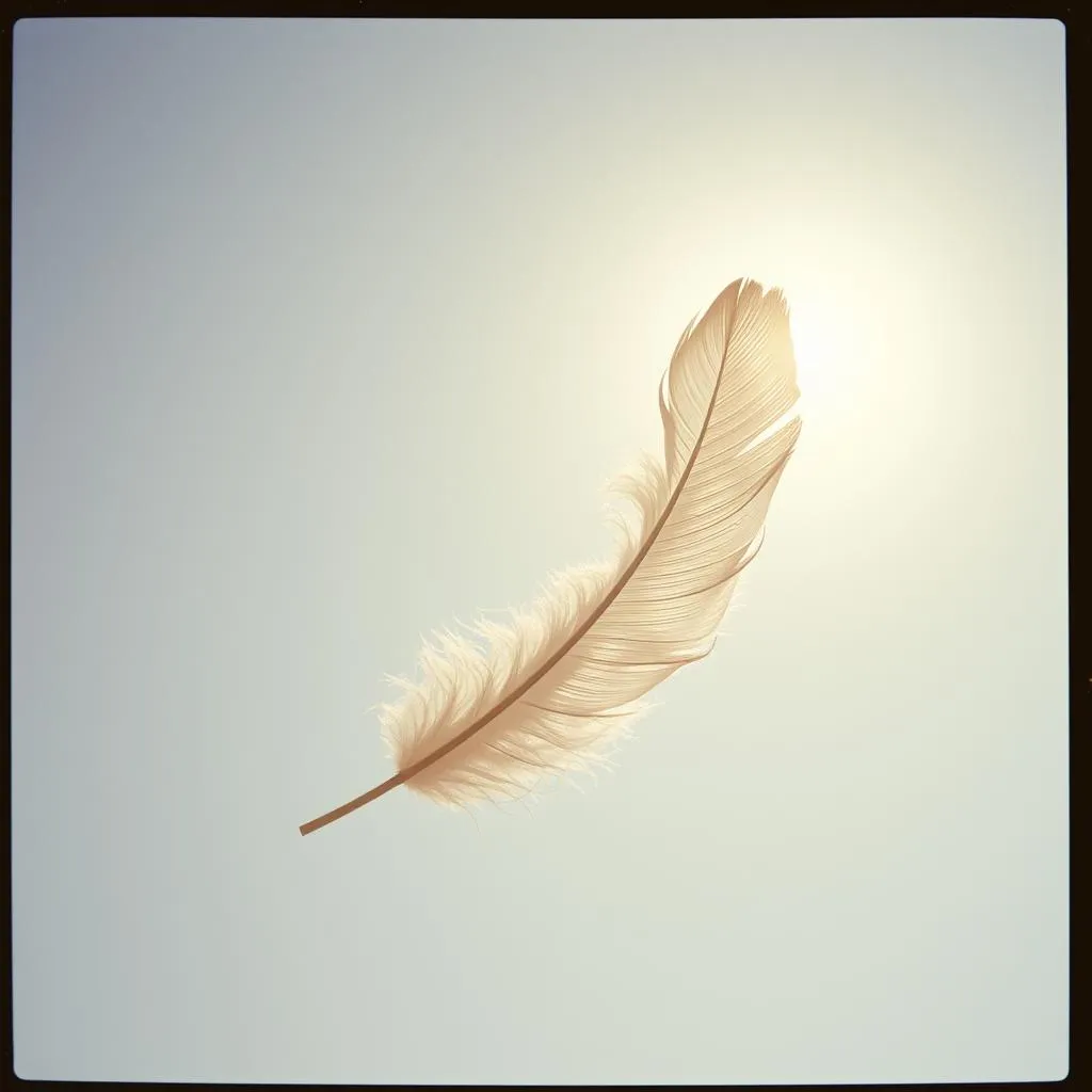 Angel of My Heart