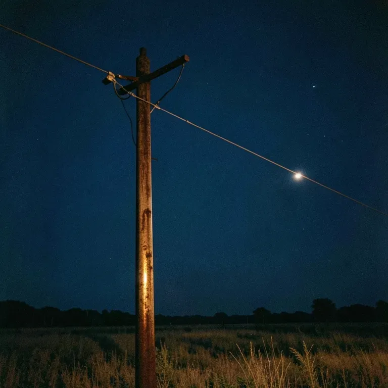 Wire In The Kansas Wind