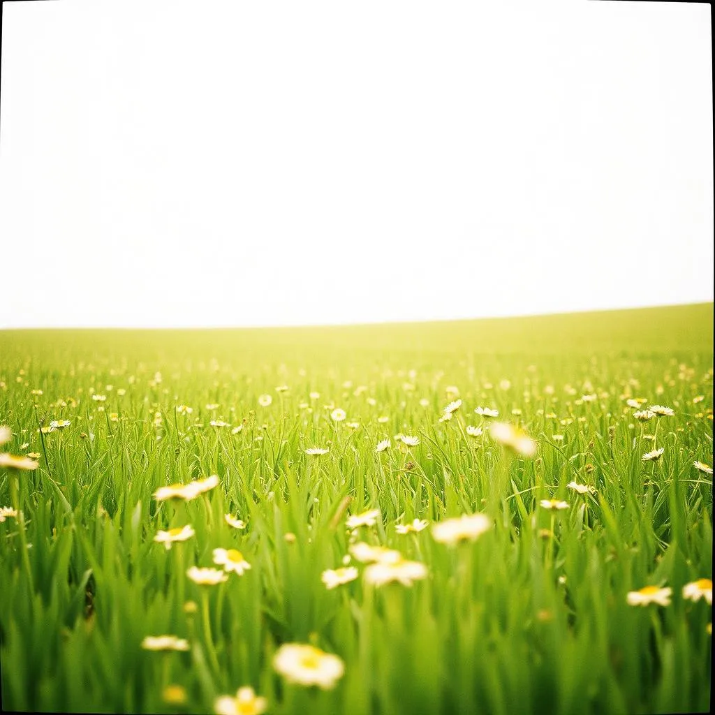 Summer Breeze