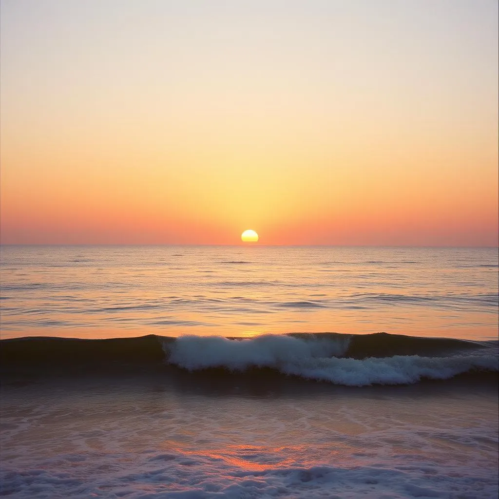 orange days hiraidai