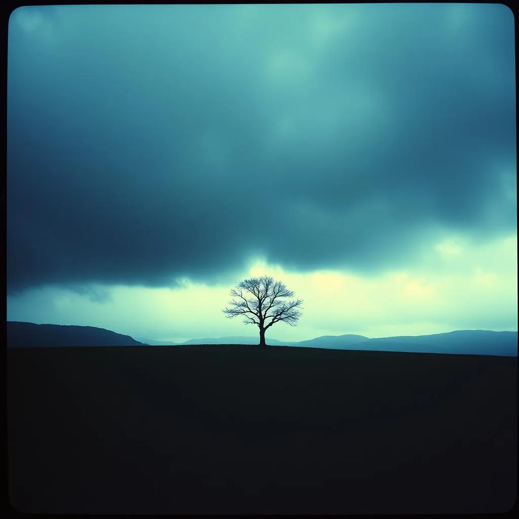 Storm