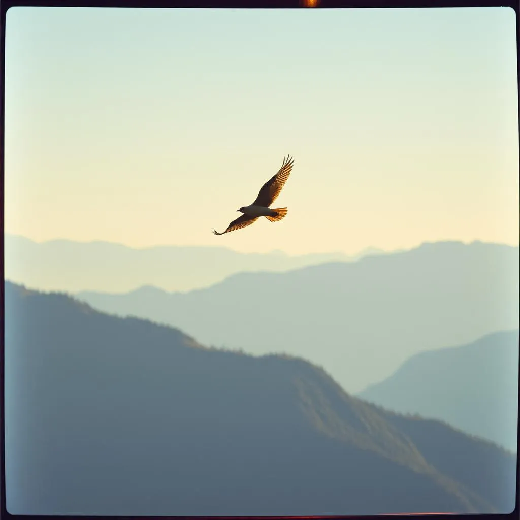 Fly Away