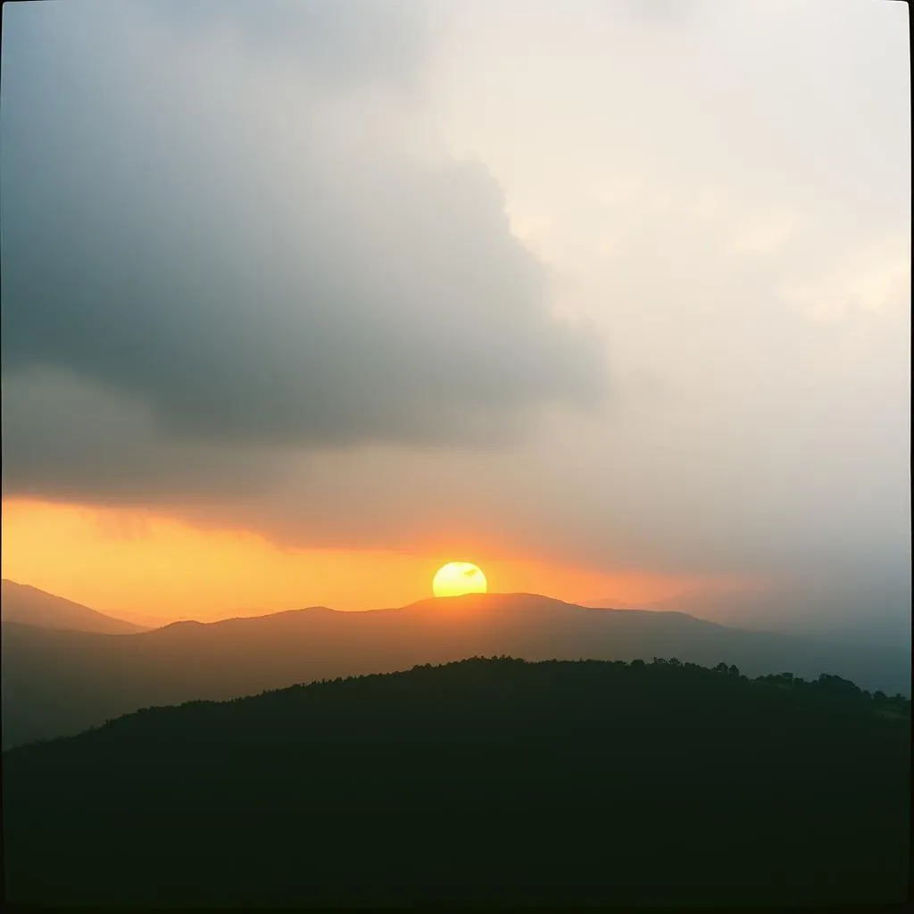 Despues de la tormenta 
