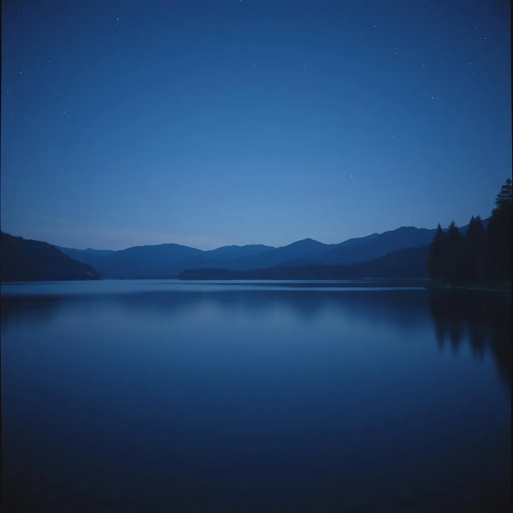 Chasing Dreams Under Starlit Skies
