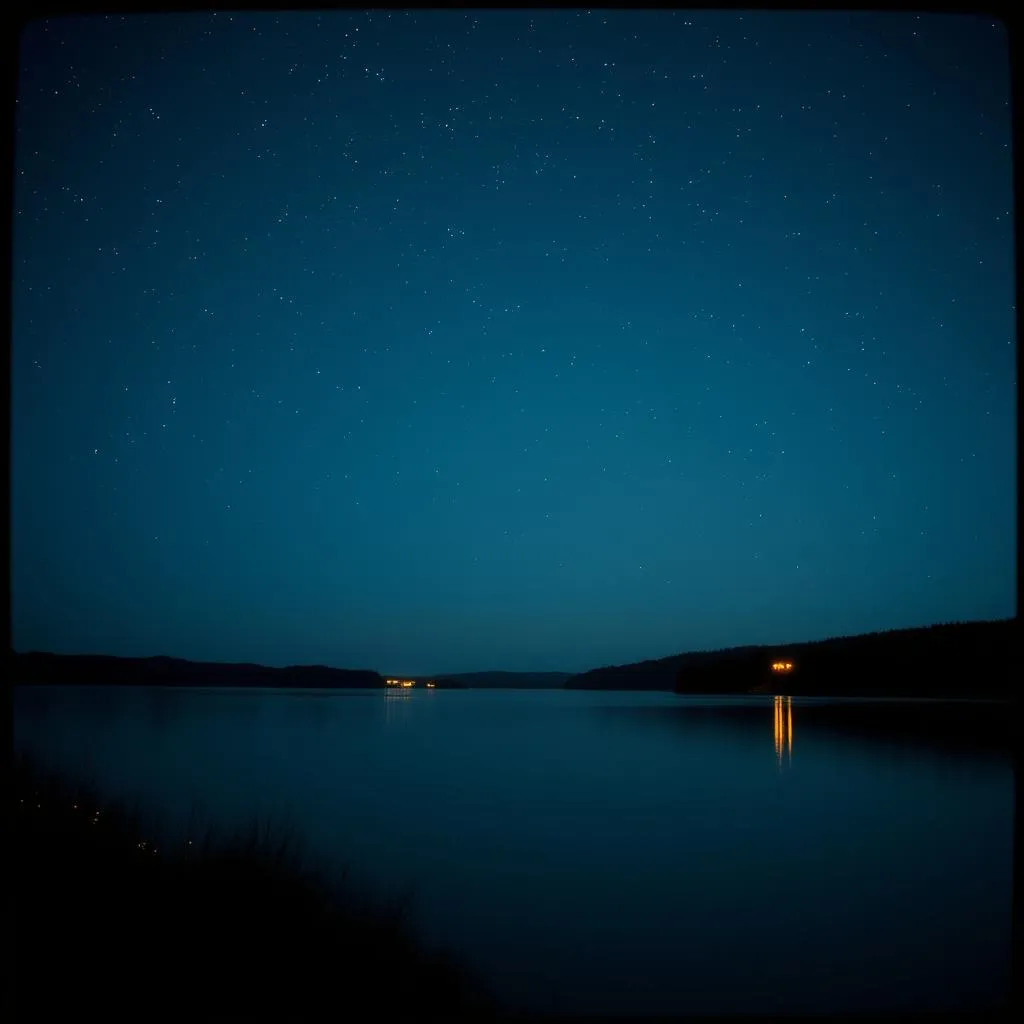 Starry Summer Night