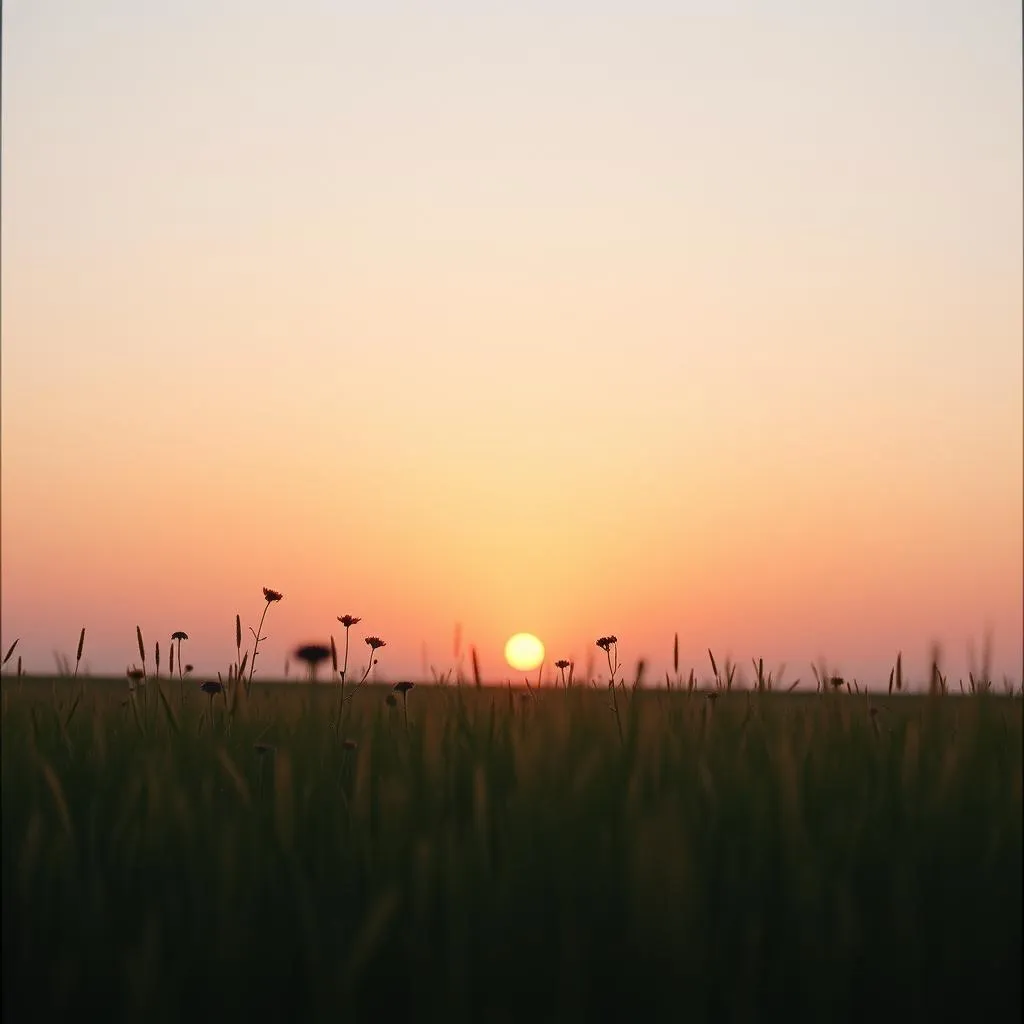 Chance To Say Goodbye