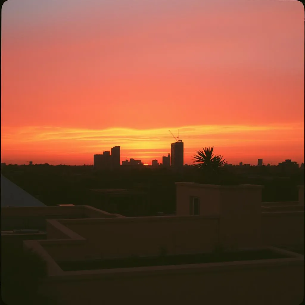 Sunset Rooftop Symphony