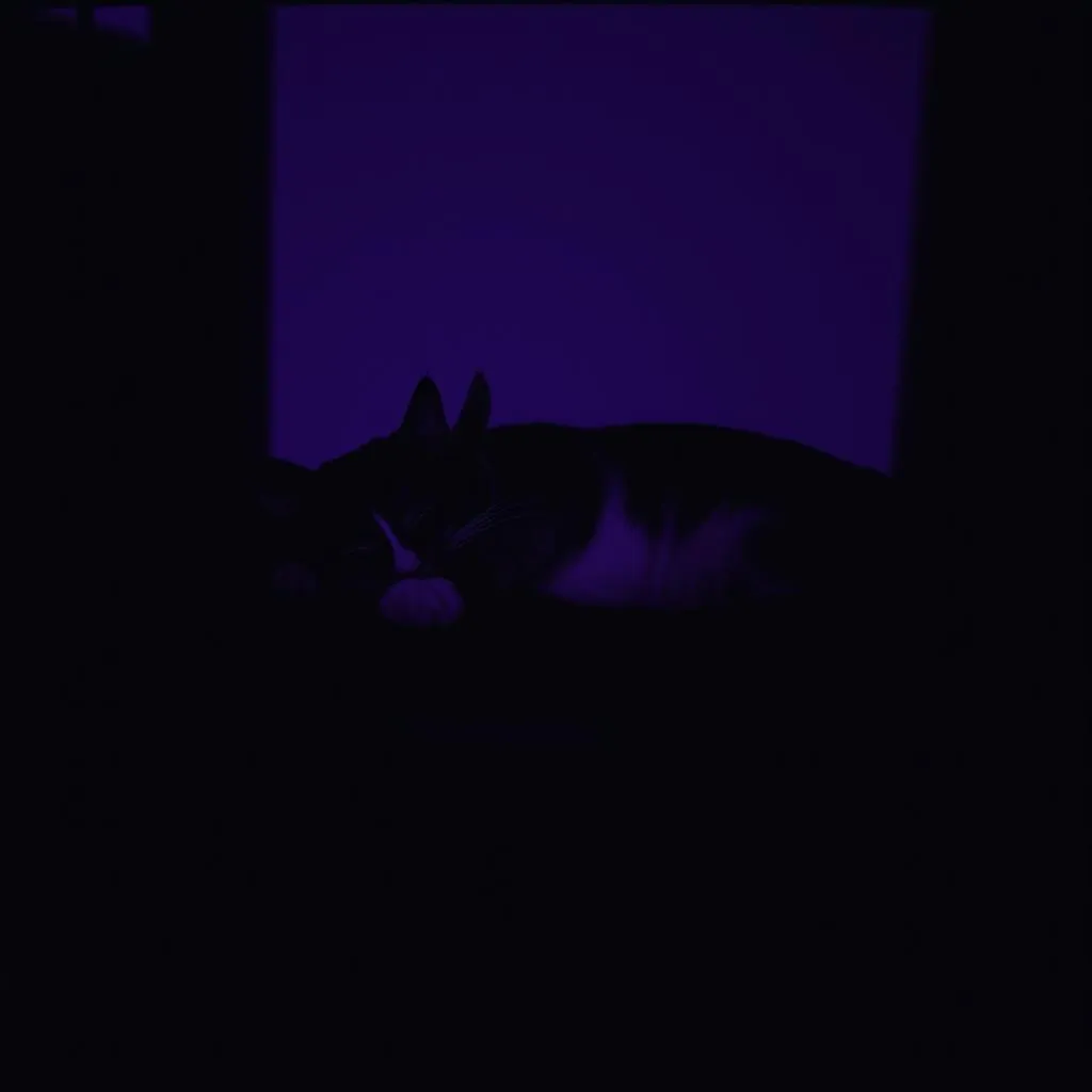 DEEP SLEEP