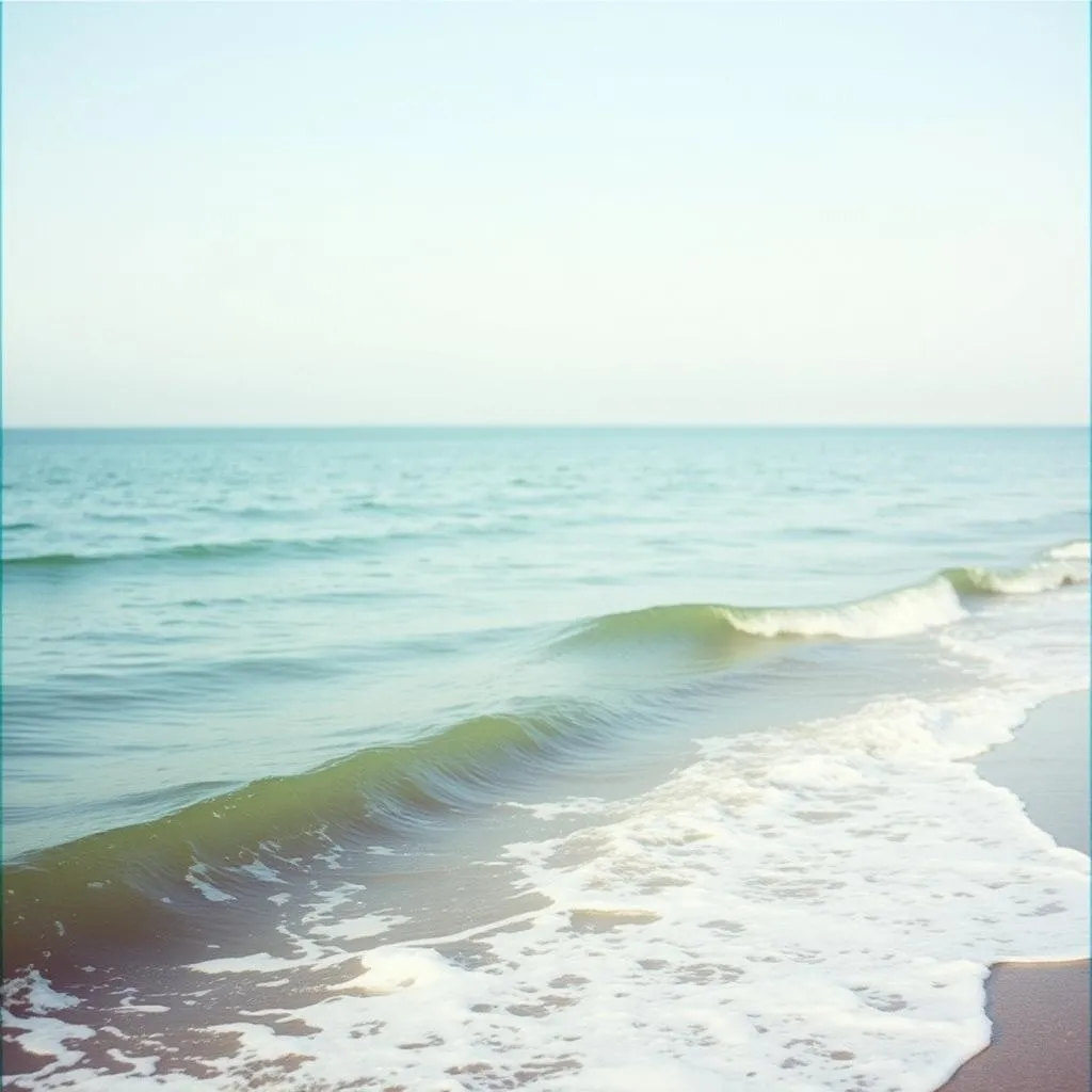Serene Waves of Mind