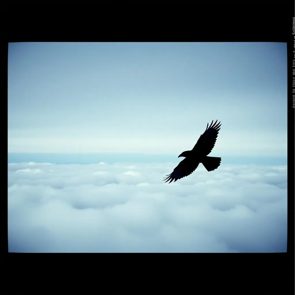 Breaking Free