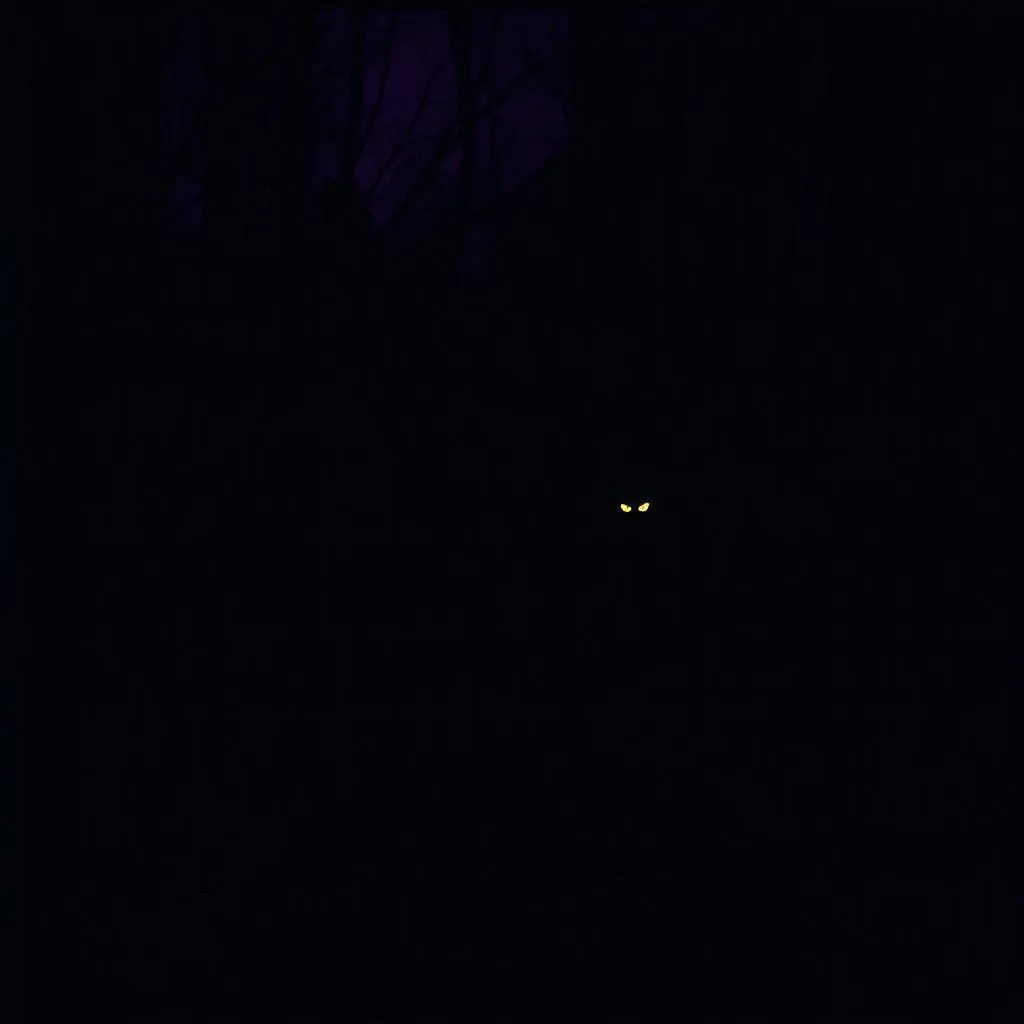 huntmedown