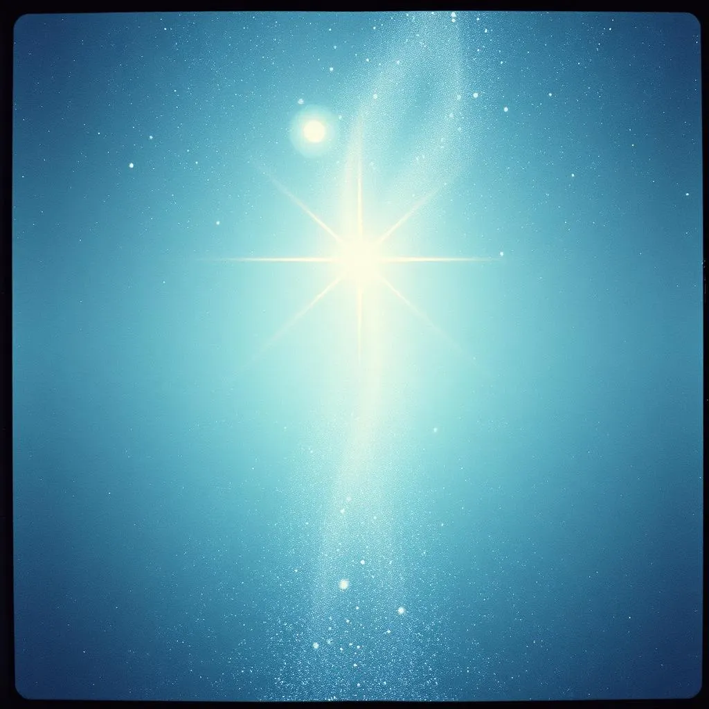 Le stelle sono tutte per te