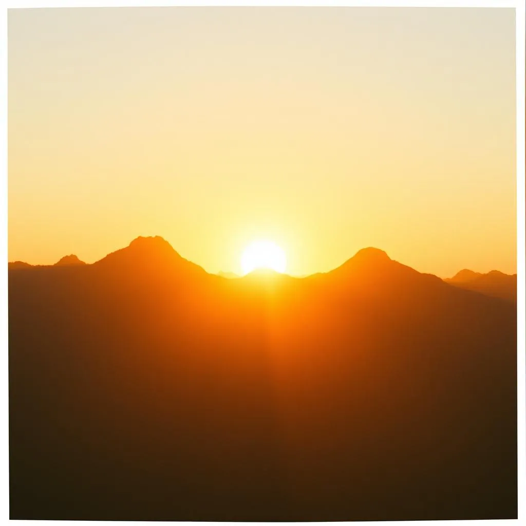 Rise From the Fire