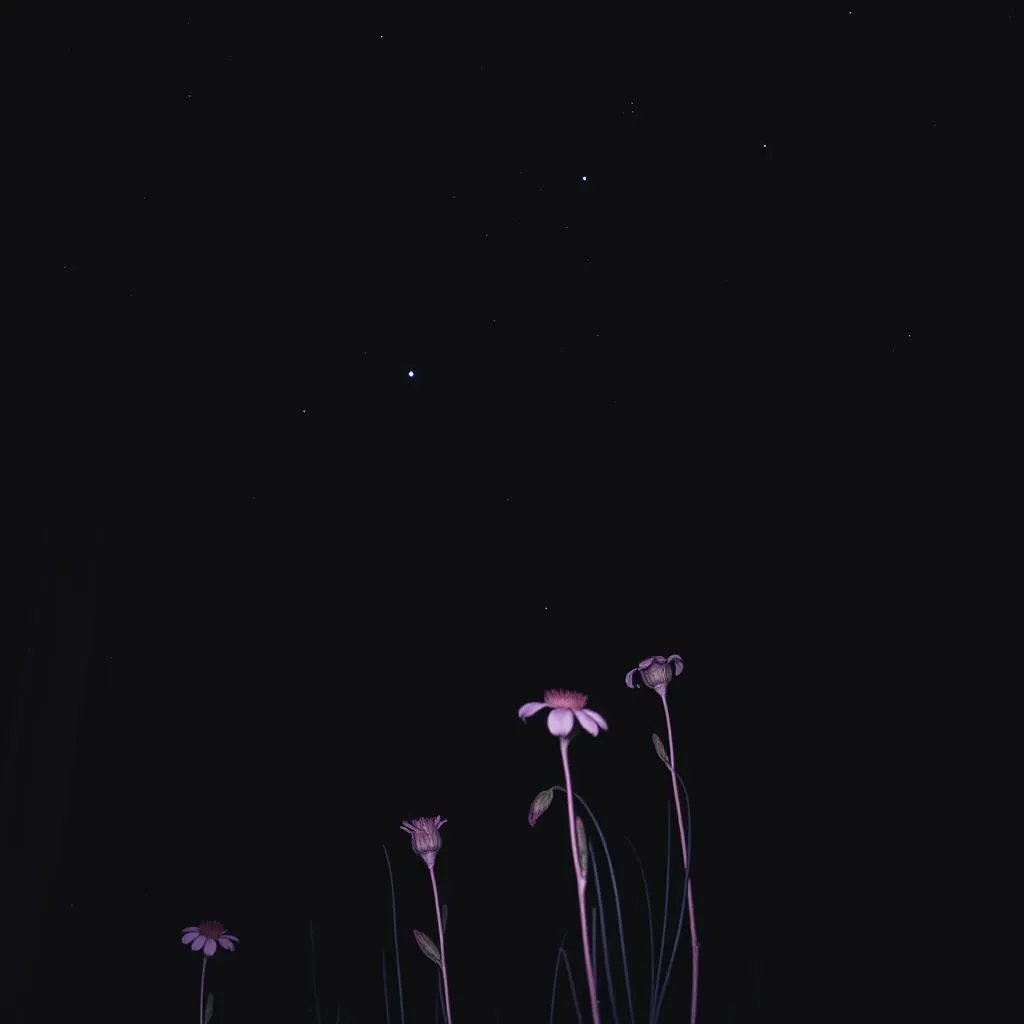 El.silencio 1. 1