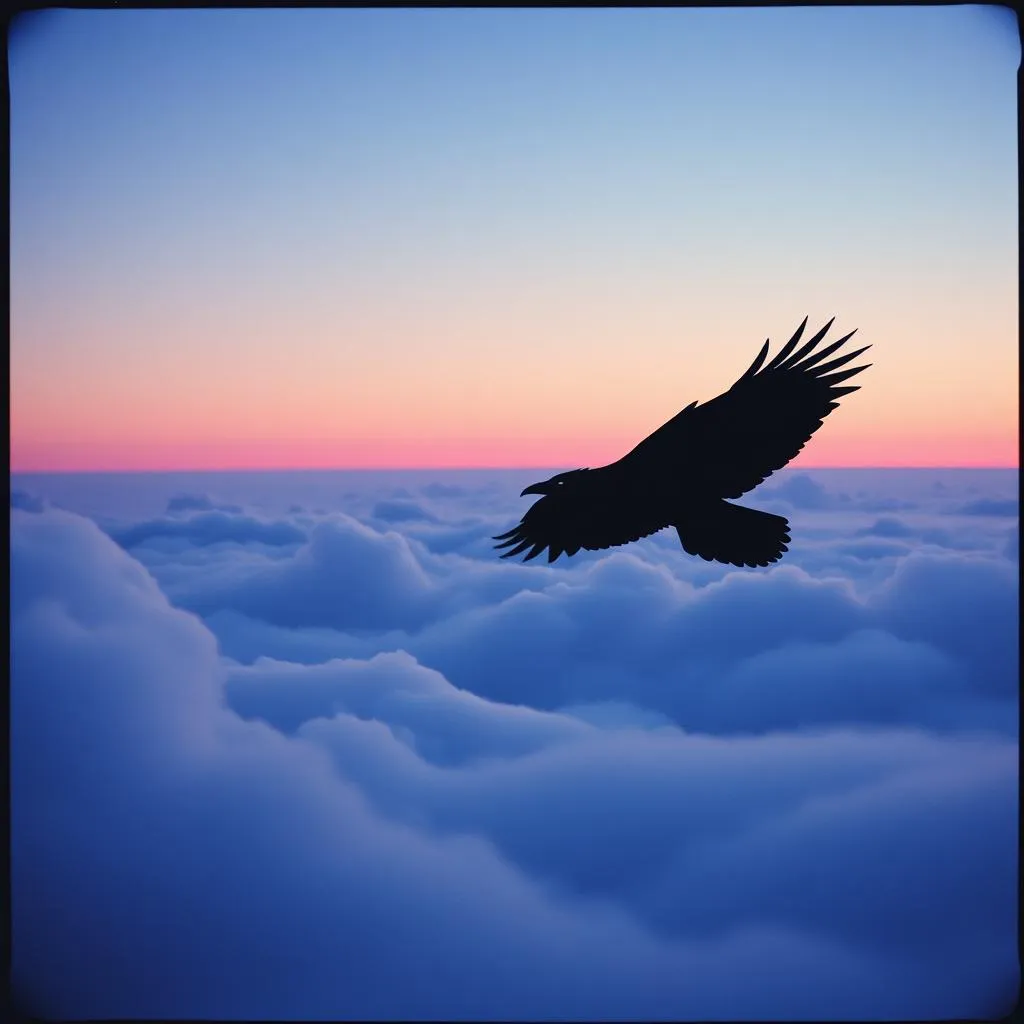 Raven in the Sky