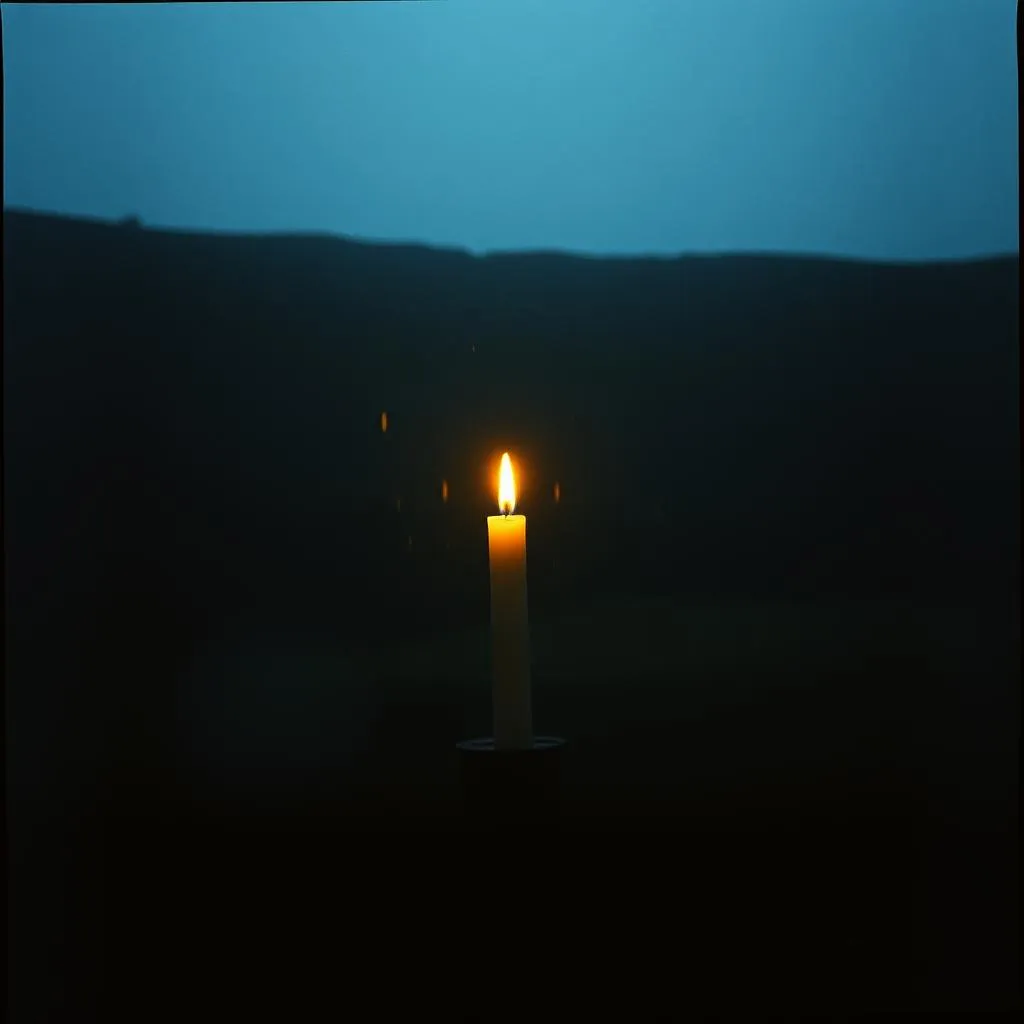 where the light still lives